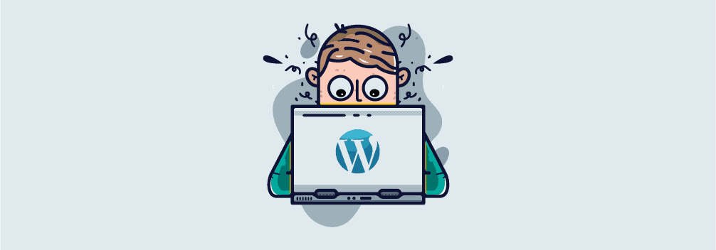 WordPress Themes and Plugin