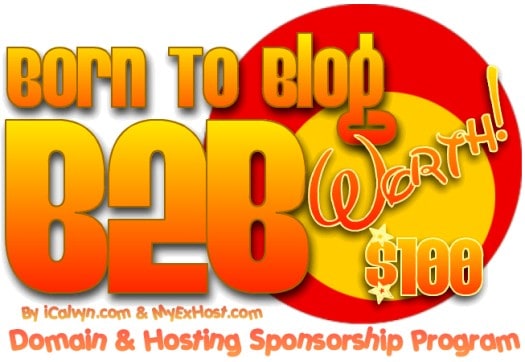 born to blog sponsorship program