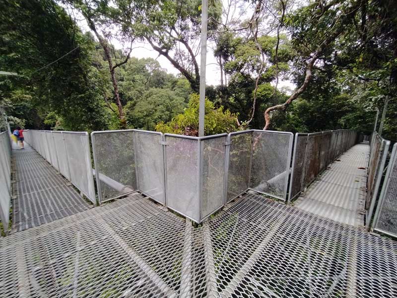 canopy walk