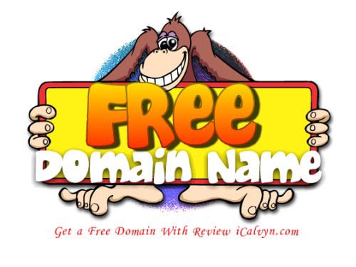 free domain name