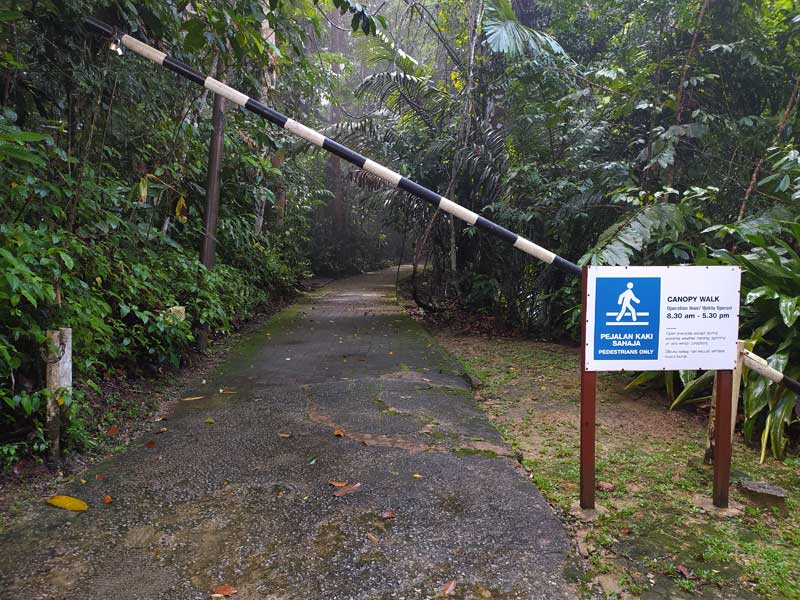 entrance to the tree top walk